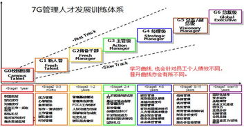 tcc版权课程│flp 企业一线经理人管理技能训练营 fresh leader program