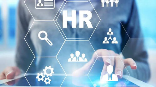 北方人才服务中心 人力资源管理师证书 21世纪职场新宠hr经理人必备证书