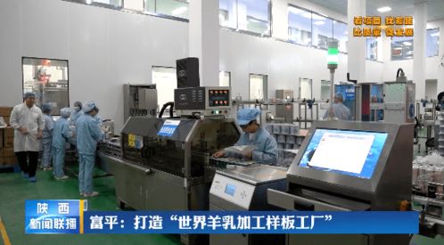 富平 打造 世界羊乳加工样板工厂